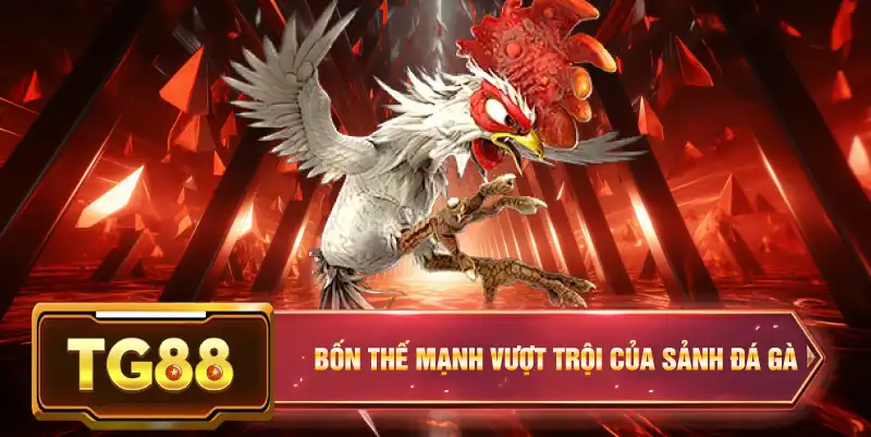 Bốn thế mạnh vượt trội của sảnh đá gà